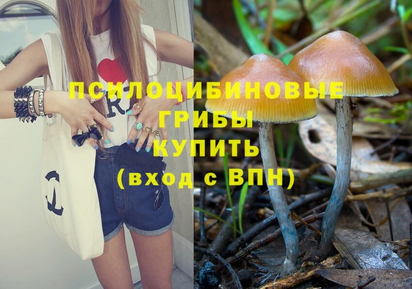 таблы Алексин