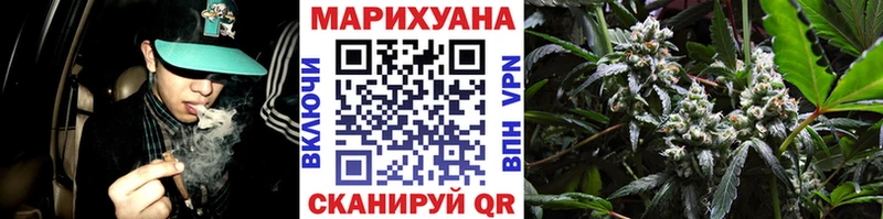 Бошки марихуана Bruce Banner  где найти   Сольвычегодск 